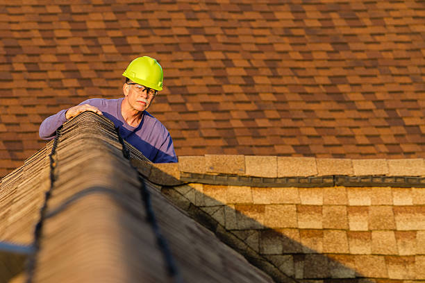 Best Roof Maintenance Services  in Quincy, CA